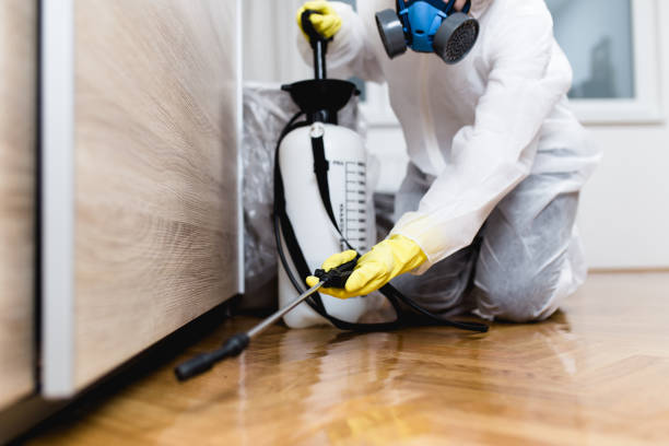 Best Mosquito Control Services  in Sherman, IL