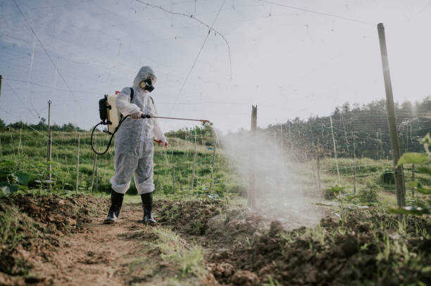 Best Best Pest Control Companies  in Sherman, IL