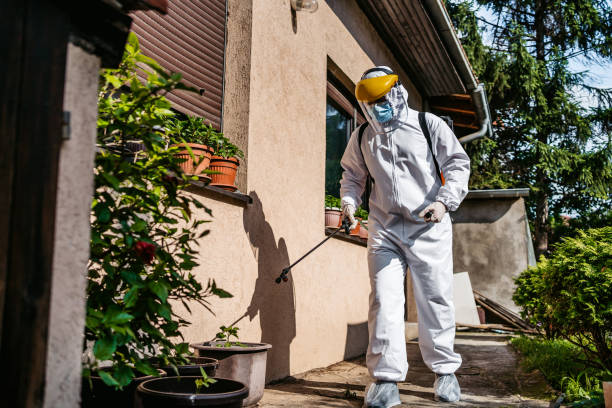 Pest Prevention Services in Sherman, IL