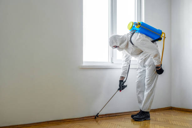  Sherman, IL Pest Control Pros