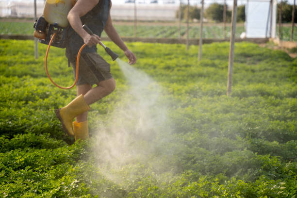 Best Ant Control Services  in Sherman, IL