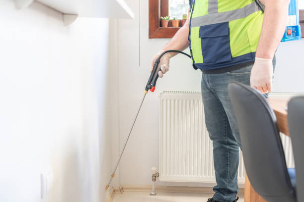 Best Wasp Removal Services  in Sherman, IL