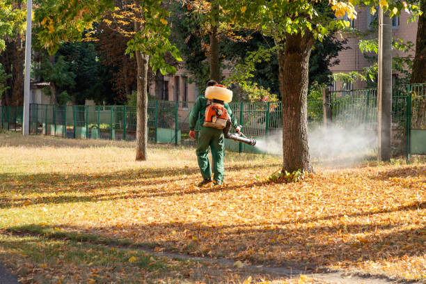 Insect Control in Sherman, IL