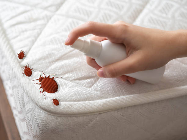 Best Affordable Pest Control Services  in Sherman, IL