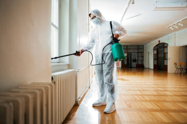 Trusted Sherman, IL Pest Control Experts