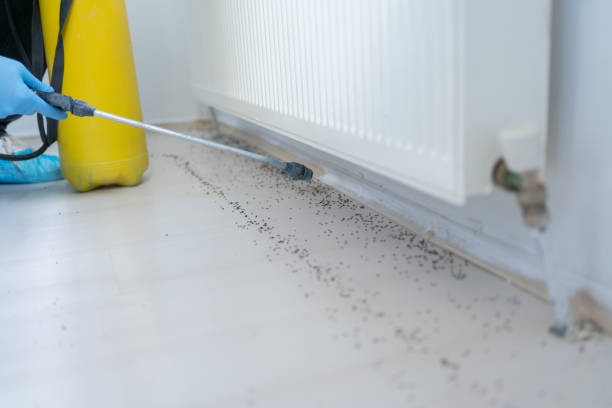 Best Exterminator Services  in Sherman, IL