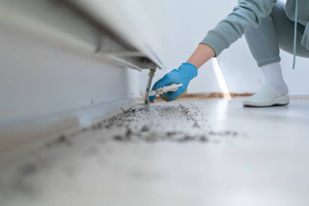 Best Pest Inspection Near Me  in Sherman, IL
