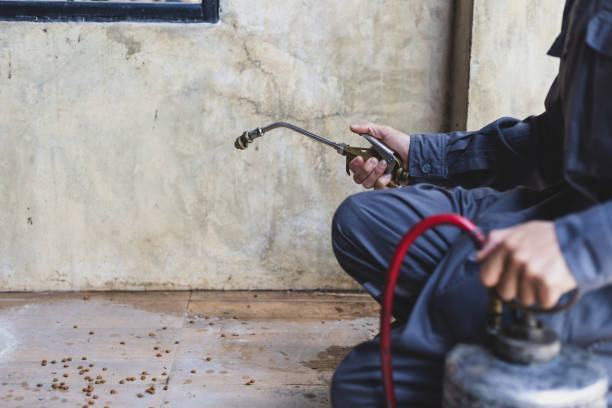 Best Pest Control Cost  in Sherman, IL